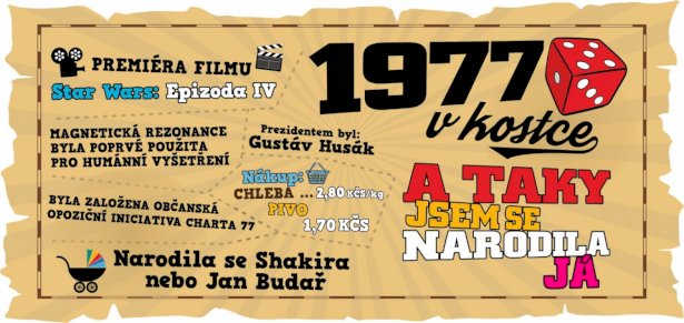 Hrnek - 1977 v kostce pro ženu