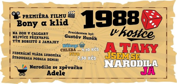 Hrnek - 1988 v kostce pro ženu