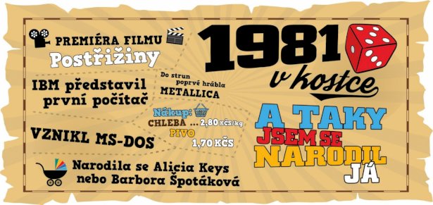 Hrnek - 1981 v kostce pro muže