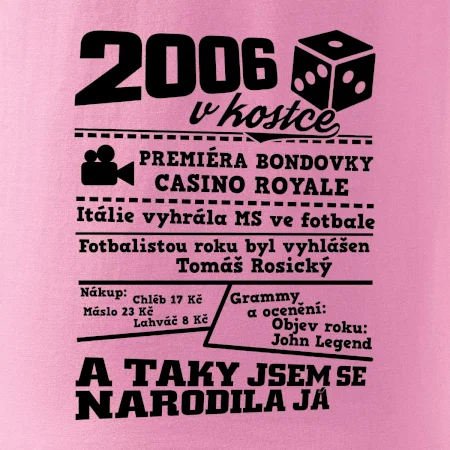 2006 v kostce