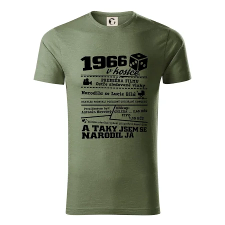 1966 v kostce