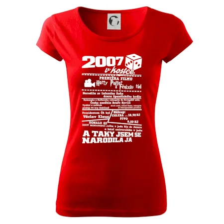 2007 v kostce
