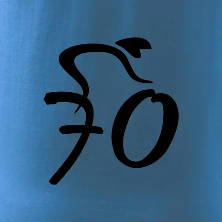 Cyklista slaví sedmdesátku (70)