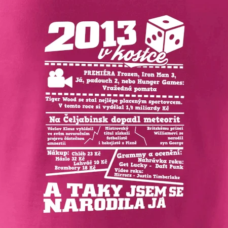 2013 v kostce