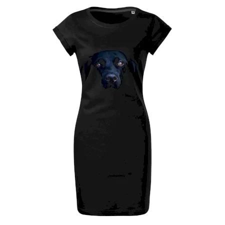 Černý Labrador fotka