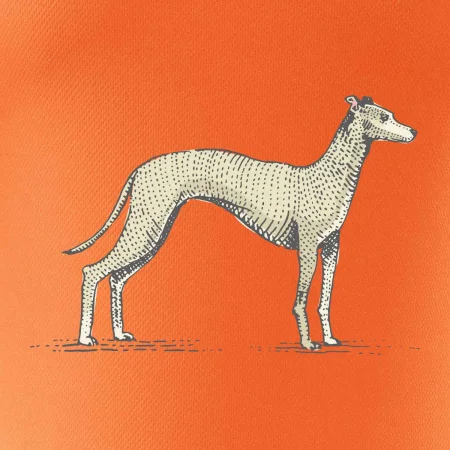 Vintage Whippet