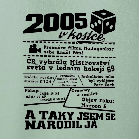 2005 v kostce