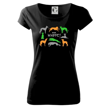 Whippet barevný