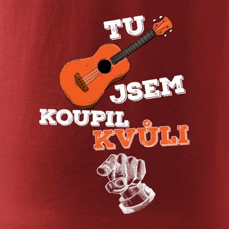 Tu kytaru jsem koupil kvůli tobě