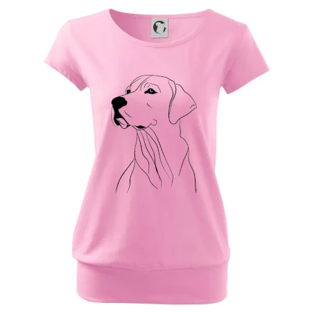 Labrador černá kresba