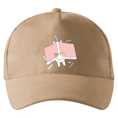 Učení na státnice kočka