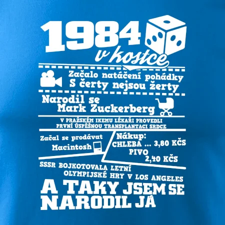 1984 v kostce