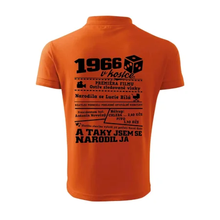 1966 v kostce