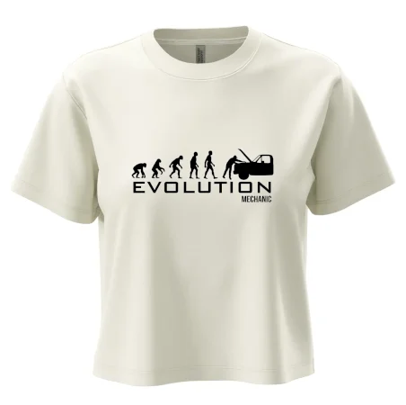 Evoluce mechanik