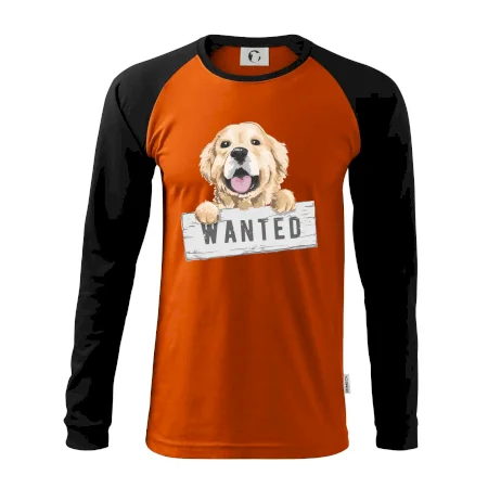 Zlatý retriever - štěně wanted