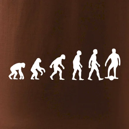 Evoluce onewheel