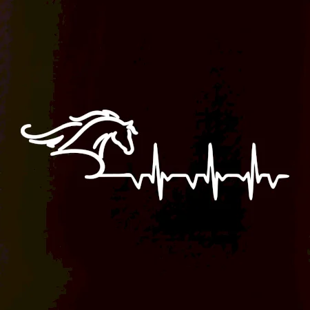 Hlava koně EKG