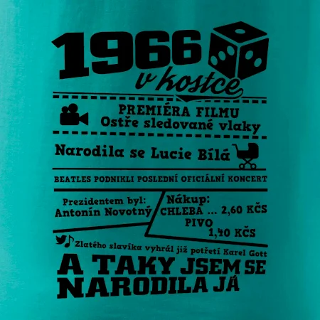 1966 v kostce