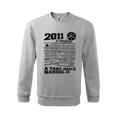2011 v kostce