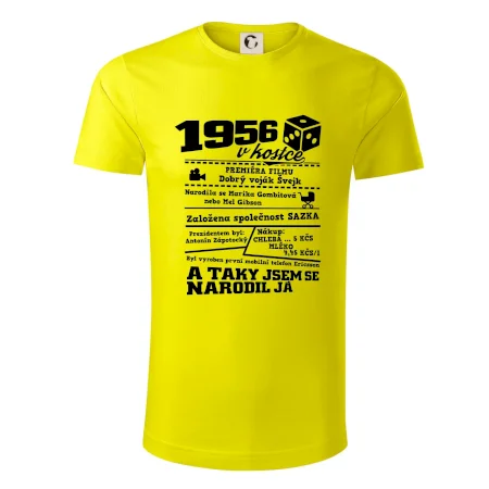 1956 v kostce