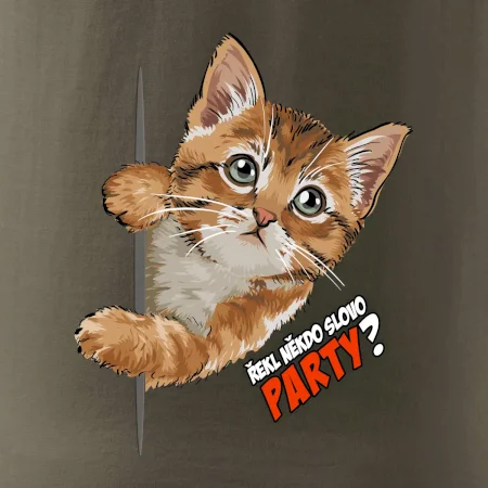 Řekl někdo slovo party