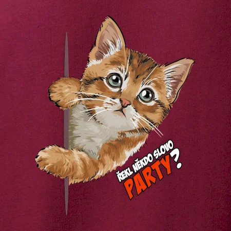 Řekl někdo slovo party