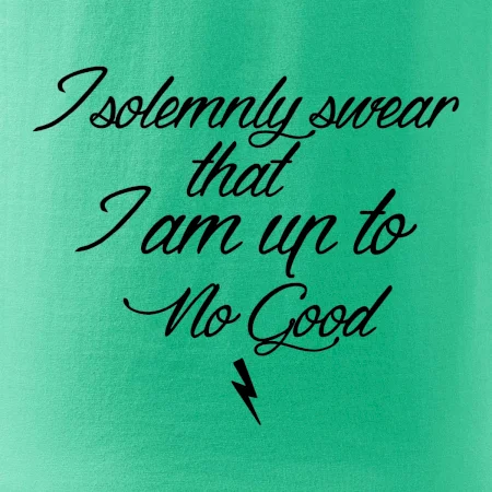 I solemnly swear that I'm up to no good