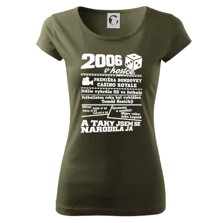2006 v kostce