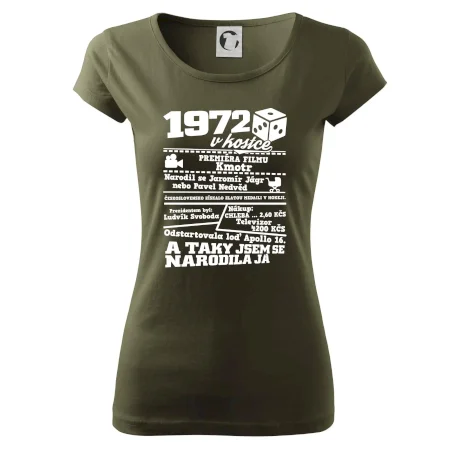 1972 v kostce