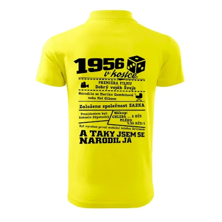 1956 v kostce