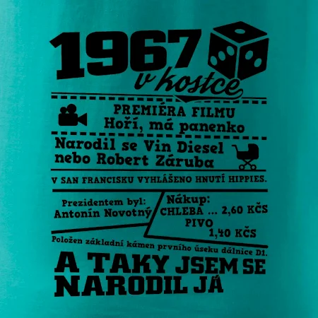 1967 v kostce