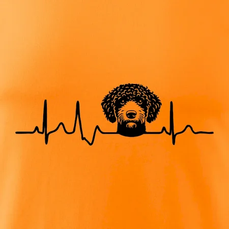 Lagotto romagnolo hlava EKG