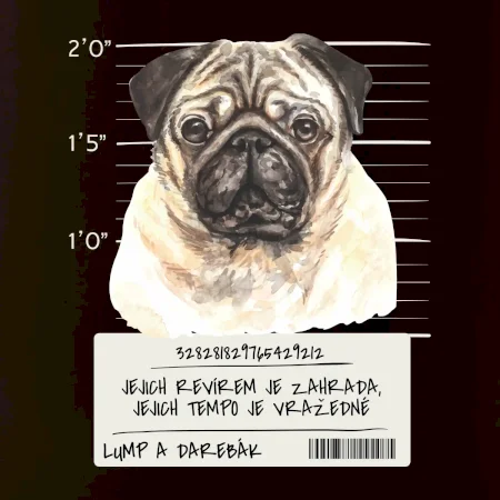 Lump a darebák mopsík
