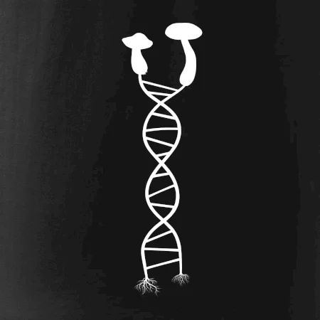 DNA houby