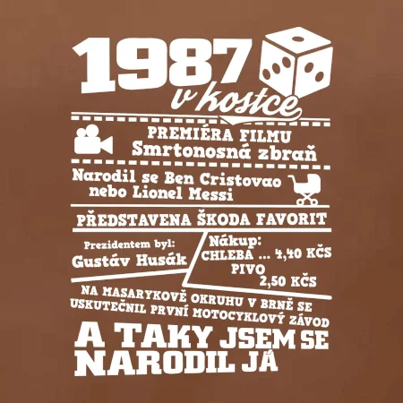 1987 v kostce