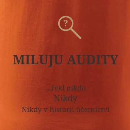 Miluju audity řekl nikdo nikdy