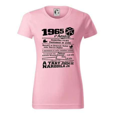 1965 v kostce