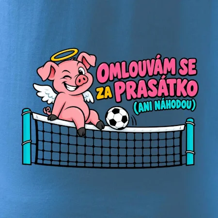 Nohejbalové prasátko na síti