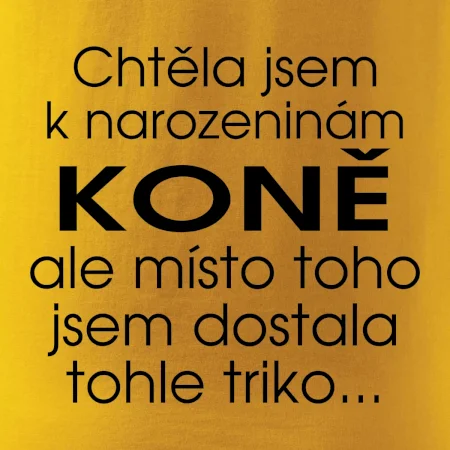 Chtěla jsem dostat k narozeninám koně