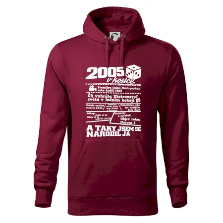 2005 v kostce