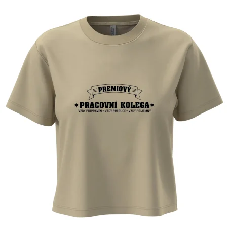 Prémiový pracovní kolega
