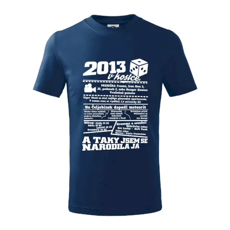 2013 v kostce