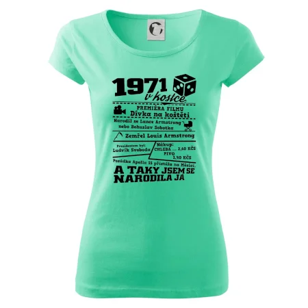 1971 v kostce