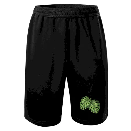 Monstera - dva listy
