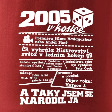 2005 v kostce
