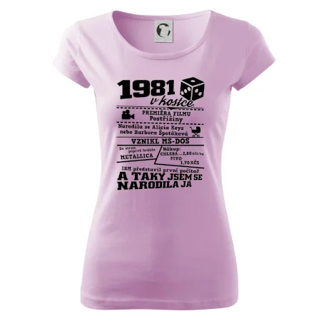 1981 v kostce