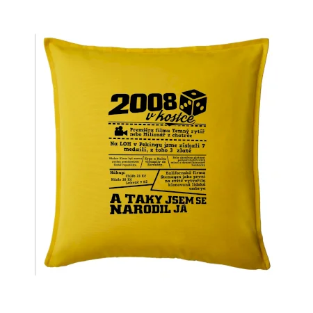 2008 v kostce