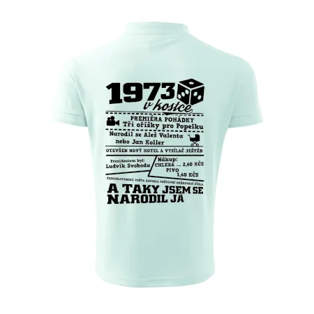 1973 v kostce