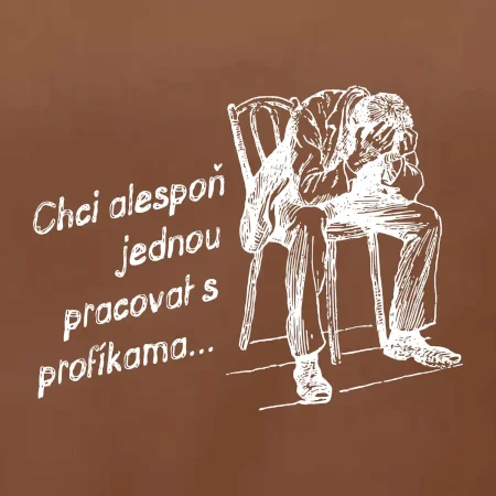 Chci alespoň jednou pracovat s profíkama