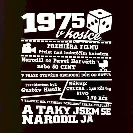 1975 v kostce